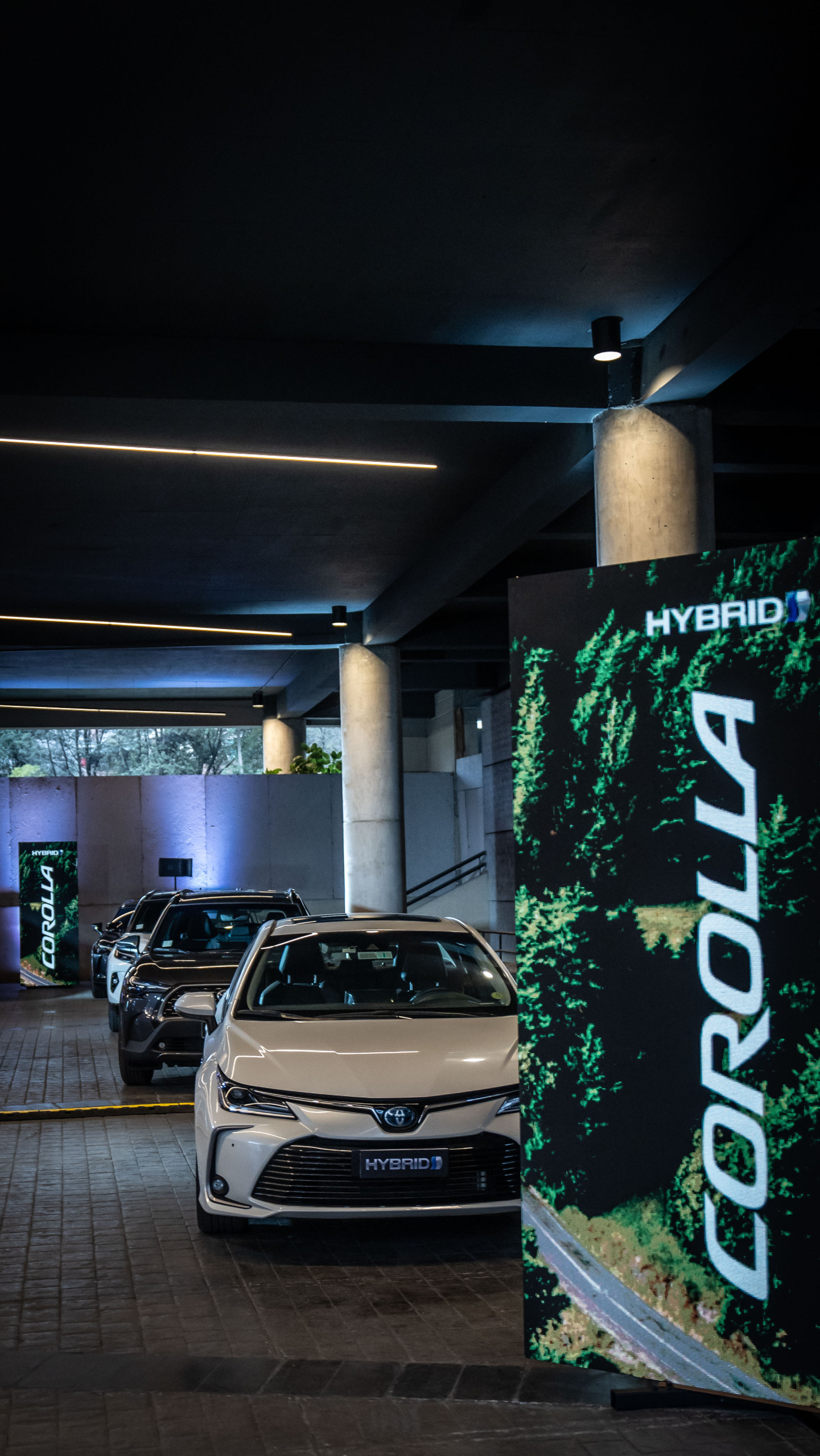 La visión de Toyota para alcanzar la carbono neutralidad: “Los Eléctricos-Híbridos auto recargables son parte de la solución”