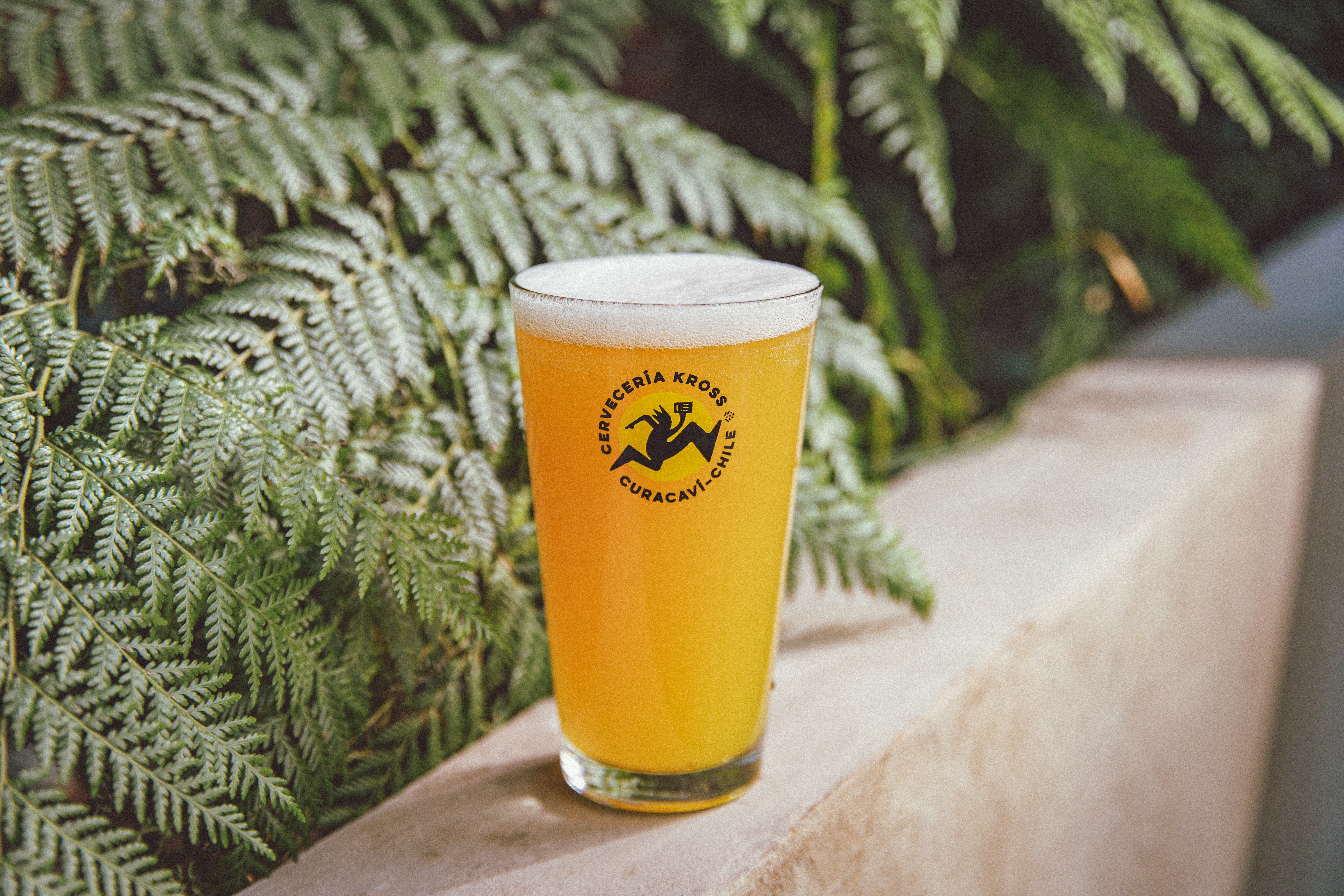 Kross presenta su nueva Doble Hazy IPA: una explosión de aromas y jugosidad